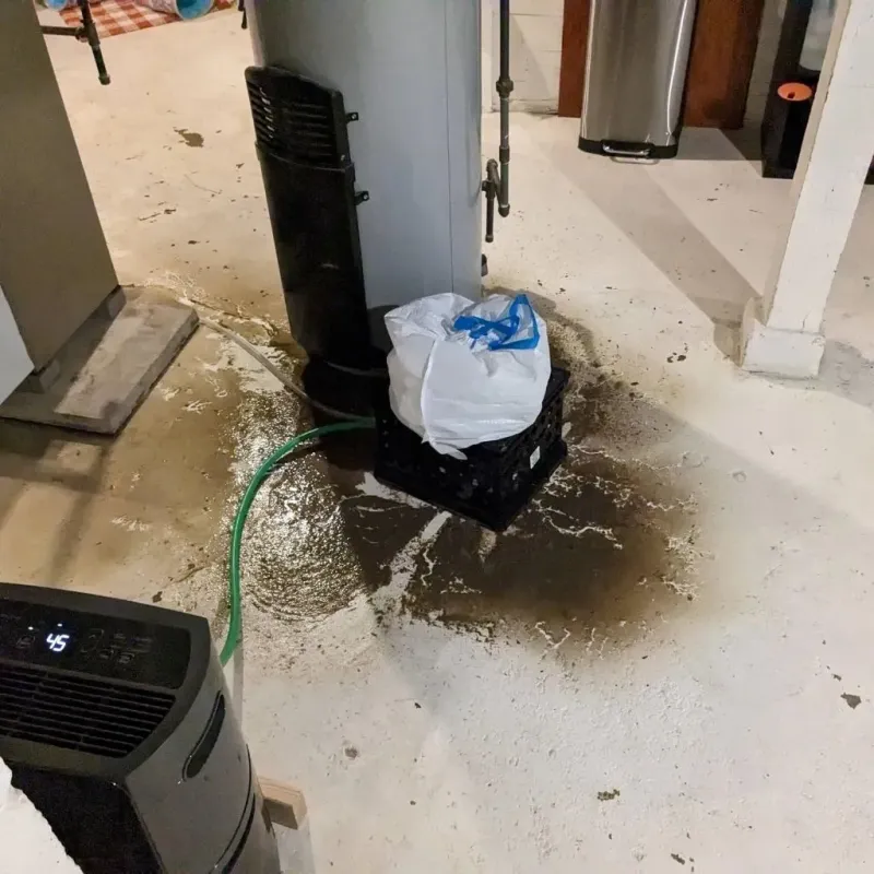 Sewage Backup Cleanup Service in Dixon Lane-Meadow Creek, CA